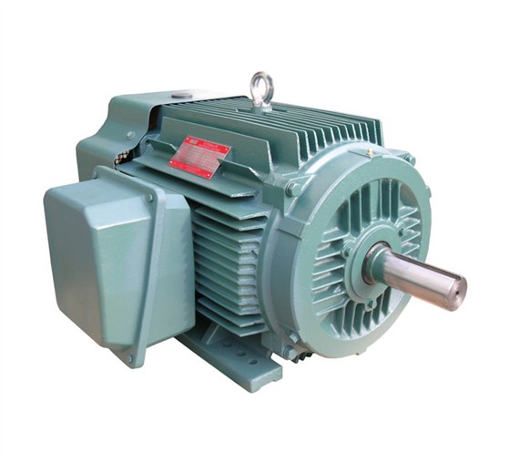 NEP Series Premium-Efficiency Three Phase Induction Motors