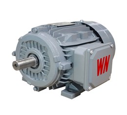 IE2 high efficiency Motors