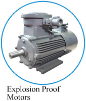 Explosion Proof Motors