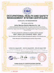 OHSAS18001:2007