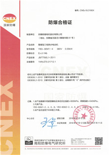 Ex d I Mb Explosion-proof certificate of mine motors