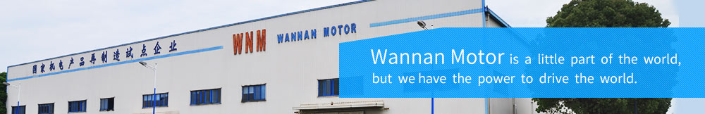 Wannan Motor