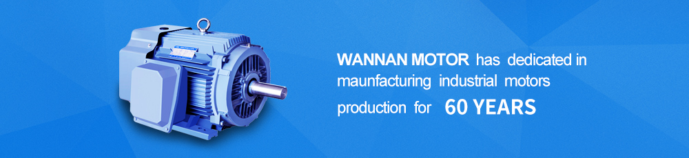 Wannan Motor has dedicated in maunfacturing industrial motors production for 60 years.