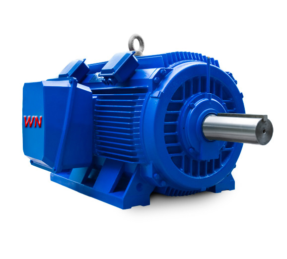 Crusher Duty Motors