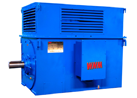 Y Series High Voltage Three Phase Induction Motors