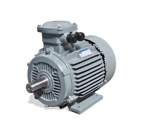 YFB3 Series High Efficency dust explosion-proof three phase induction motors