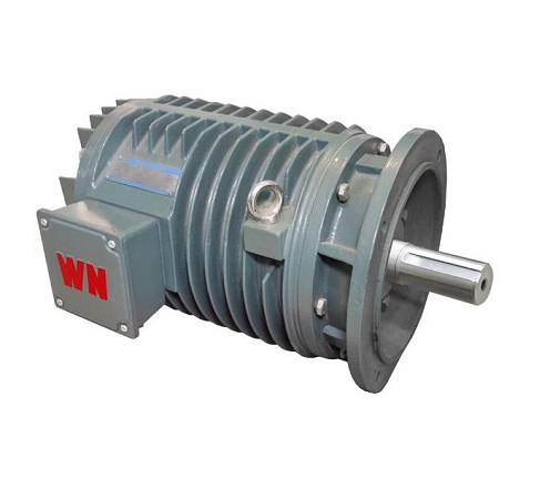 YG Series Induction Motors for Roller Table