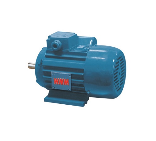 YY Series Single phase Induction motors