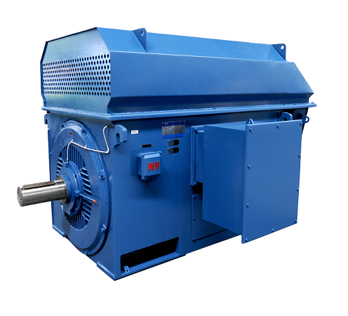 YTM / YHP / YMPS Series power station coal mill Motor